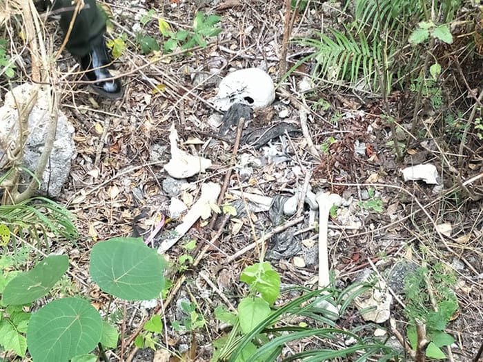 Warga Temukan Kerangka Diduga Manusia di Lahan Kosong Kuta Bumi, Polisi Dalami Identitas